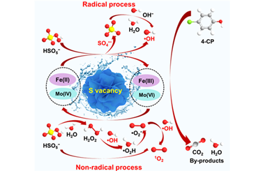 Nano-flowers FeS/MoS2 composites as a peroxymonosulfate activator for efficient p-chlorophenol degradation 2025.100543